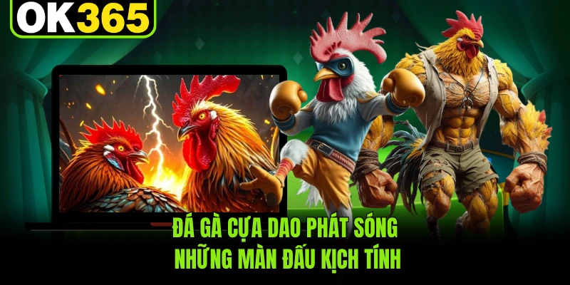 Đá gà cựa dao phát sóng những màn đấu kịch tính