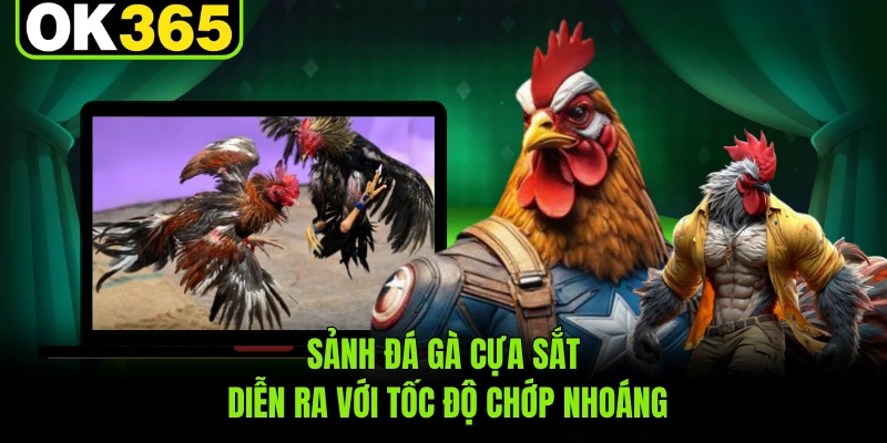 Sảnh đá gà cựa sắt diễn ra với tốc độ chớp nhoáng